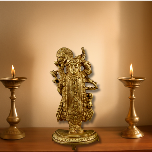Brass Shrinath Ji